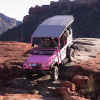 Pink_Jeep_1.JPG (88236 bytes)